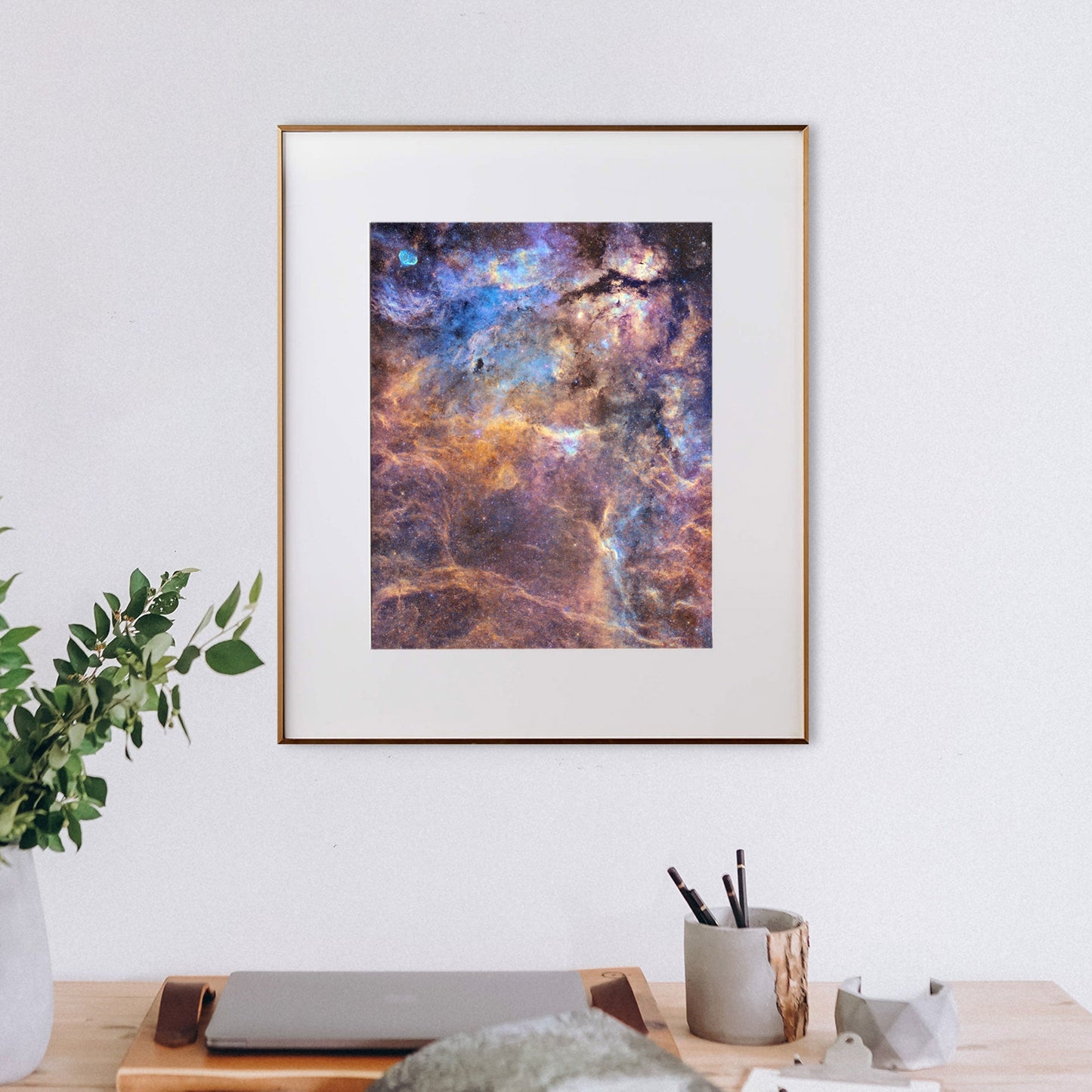 Dreams of Cygnus